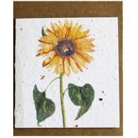 Growing Paper Sunflower Mini Card